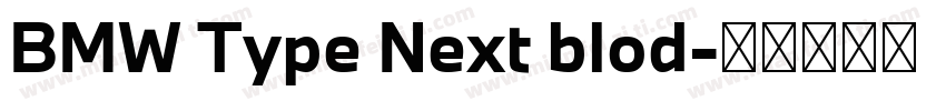 BMW Type Next blod字体转换